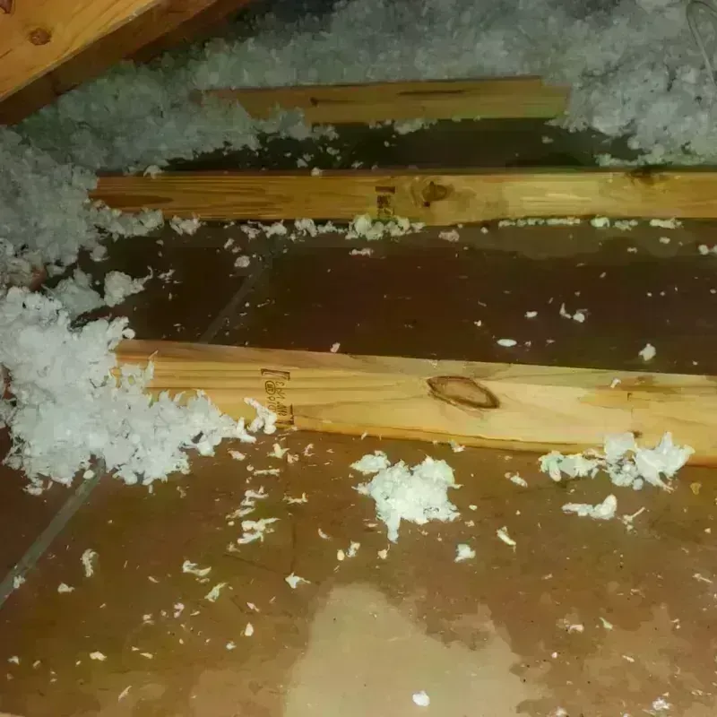 Attic Water Damage in Mount Vernon, IA