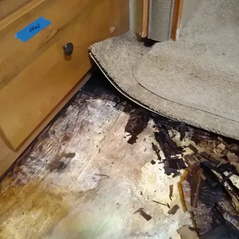 Best Wood Floor Water Damage Service in Mount Vernon, IA